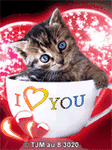 pic for cat in cup, I want to you  